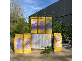 Verzamelbox Lentecollectie